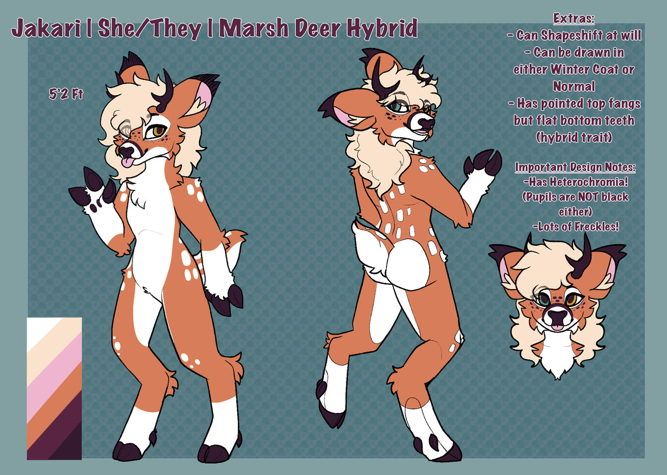 Simplistic Reference Sheet Example